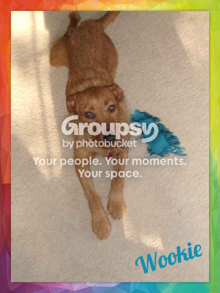  photo edited-image_zpssv0iiept.png